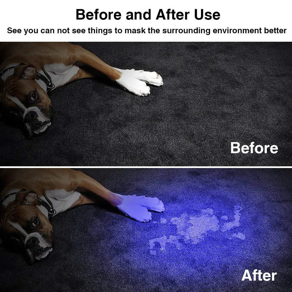 LED UV Flashlight Ultraviolet Torch With Zoom Function Mini UV Black Light Pet Urine Stains Detector Scorpion Hunting