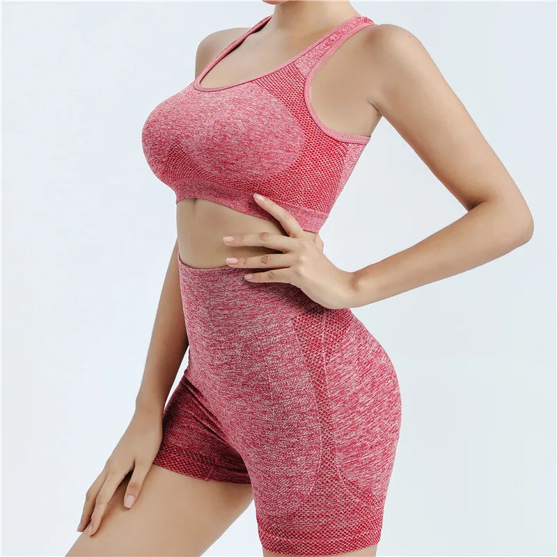 Yoga Set Gym Shorts Women Sport Bras Brassiere Workout Tops for Women Yoga Clothes Fitness Leggings Gym Set Seamless Yoga Sets